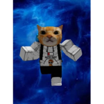 meow cat offical group