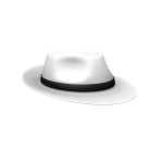White & Black Fedora