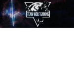 the wolf gaming club