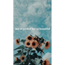 Aesthetic fun