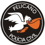 SAT | Serviço Aerotático