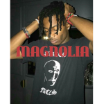 MAGNOLIA Ent