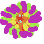 Bro Sis Clan