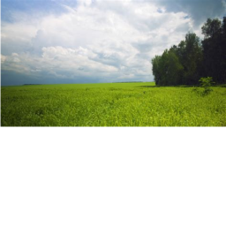 Grass fields
