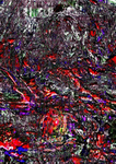 asininedmerry