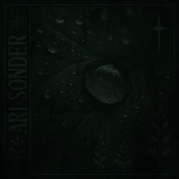 ARI-SONDER