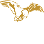 Wings of gold group