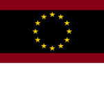 Team Federation