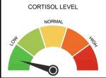 low cortisol level
