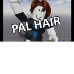 Pal Hairs Reinforcement Of Safety City | The Group