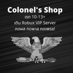 Colonel's Hub