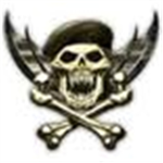 the green berets.