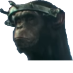 Monkey Productions ᅠᅠ