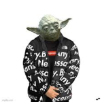 Yoda supporters group