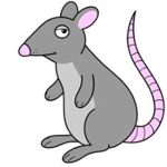 ze ratz