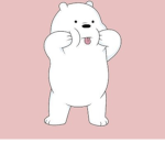 Icebear studio