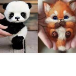Cute and cuddly animals