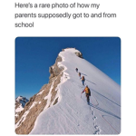 Meadow hills