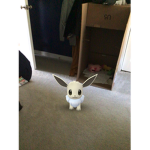 Catnip Games