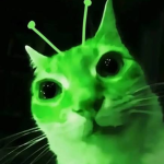 Nekojin