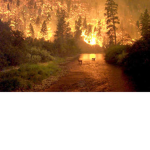 Flamerock Refuge