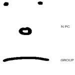 The NPC Group