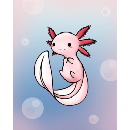 Axolotl Hang Out
