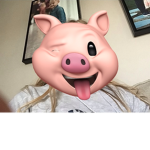 Group Pig Period