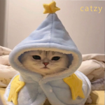 Cats fitz