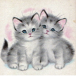 ʚ kittygirls ɞ