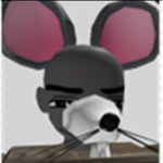 Raider rats