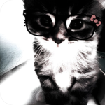 Kitten Squad Robox Group!!