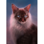 Grupo Warrior cats [Español] !!