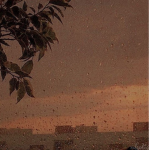 ~- ᴘᴀɴᴅᴀ ꜱQᴜᴀᴅ -~