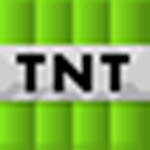 Minecraft fan an Mario