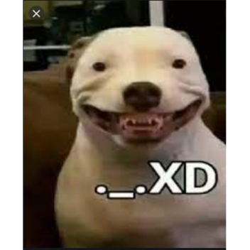 sdrtguhuerif headquarters