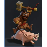 THE HOG RIDA GANG