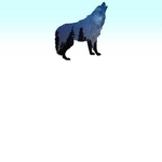 DOGE FOX YO