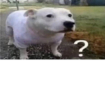 D3adM3at
