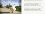 Members for the chickens
