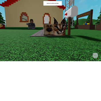 RAISE A FLOPPA und BEN und sunky und bingus mehr