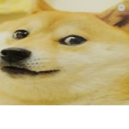 Shrek Doge Shrine