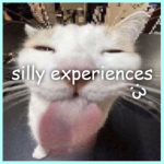 silly expriences