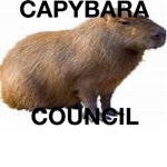ｃ ａ ｐ ｙ ｂ ａ ｒ ａ ｃ ｏ ｕ ｎ ｃ ｉ ｌ ．