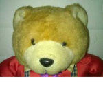 De bolle beren