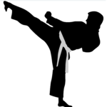 Karate For New People