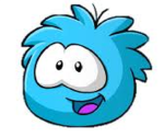 club puffle