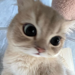 >_< !!.