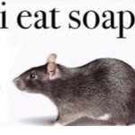 TheSoapEaters