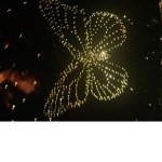 -gigi’s butterflies-